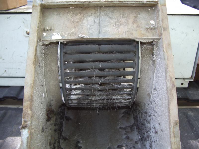 a dirty blower wheel found during a tune up inspection