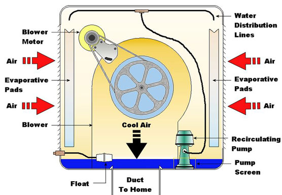 cut out viw of how a swamp cooler works